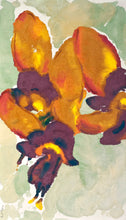 Load image into Gallery viewer, Diuris amplissima: Limited Edition Print